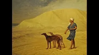 Miniature : TOP 10 des Races de Chiens les Plus Anciens du Monde