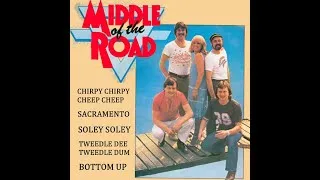 Miniature : The Best Of `` Middle Of The Road ´´ Sally Carr