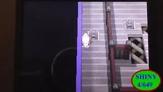 Miniature : Rattata Shiny [Pokémon Versions Or HeartGold et Argent SoulSilver]