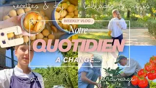 Miniature : Une semaine avec nous : Notre quotidien pendant notre stage dans un restaurant étoilé !