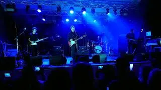 Miniature : Axel Bauer - Cargo _ Concert live 09-07-2022