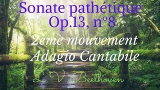 Miniature : Sonate Pathétique de Beethoven