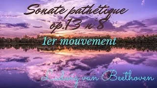 Miniature : Sonate Pathétique de Beethoven