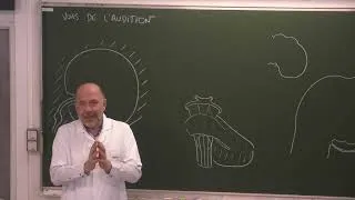 Miniature : Neuroanatomie 16 : Voies de l'audition [Auditory pathways-English dubbing]