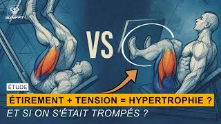 Miniature : Hypertrophie : faut-il vraiment étirer le muscle sous tension ?