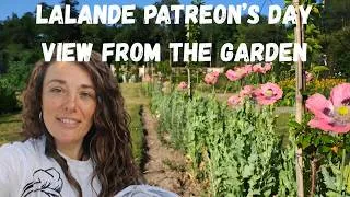 Miniature : Gardener's point of view