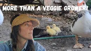 Miniature : More than a Food grower! And i love it!