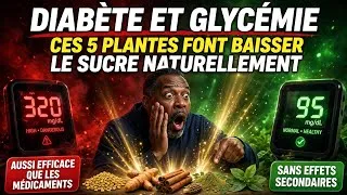 Miniature : DIABÈTE ET GLYCÉMIE : 5 PLANTES QUI FONT BAISSER LE SUCRE NATURELLEMENT