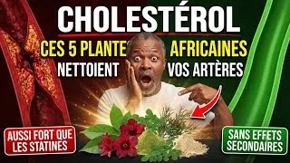 Miniature : CHOLESTÉROL : 5 PLANTES AFRICAINES QUI NETTOIENT VOS ARTÈRES NATURELLEMENT