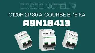 Miniature : Disjoncteurs C120 Schneider Electric sur One-Elec⚡
