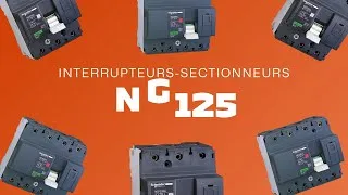 Miniature : Interrupteurs sectionneurs NG125 en stock !