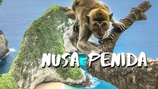 Miniature : VISITER NUSA PENIDA POUR LA 1ÈRE FOIS - RAIES MANTAS & PLAGES DE RÊVE - VLOG VOYAGE BALI INDONÉSIE