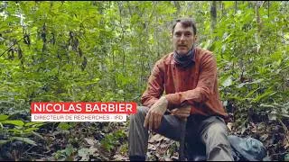 Miniature : « Les Explorateurs du Vivant » - Scanner et observer la forêt depuis le ciel - Nicolas Barbier (IRD)