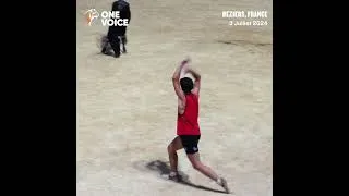 Miniature : Les vachettes d'un "toro piscine", Arènes Béziers, 3 juillet 2024