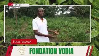 Miniature : La Fondation VODIA soutient l'agriculture durable par la formation des agriculteurs.