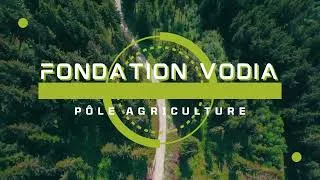Miniature : La Fondation VODIA investit dans l'avenir de la jeunesse par la formation en agriculture durable