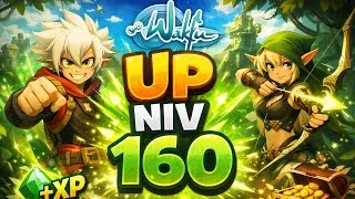 Miniature : WAKFU Néo-Serveur / Up niveau 160