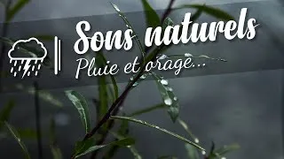 Miniature : ⛈️ Bruit de la pluie et de l'orage, sons naturels pour dormir, étudier ou travailler