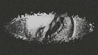Miniature : James Webb Just Spent +100 Hours Staring at 'EMPTY' Space — Here's What Was Hiding There!