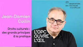 Miniature : Les droits culturels : des grands principes à la pratique