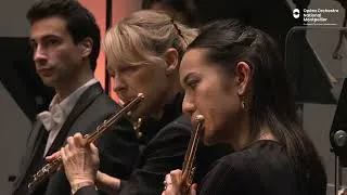 Miniature : Tchaïkovski : Symphonie n°1 (extrait) | Roderick Cox, Orchestre national Montpellier Occitanie