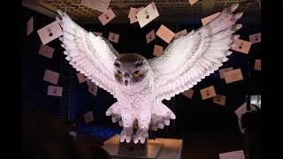 Miniature : Aftermovie 🎥 | Les Grandes Eaux Nocturnes : Harry Potter - Retour à Poudlard