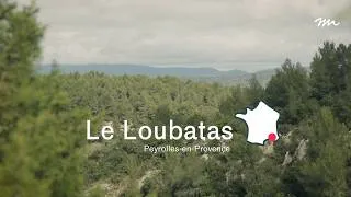 Miniature : Le Loubatas, l’éducation du dehors en Provence
