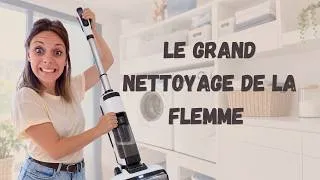 Miniature : LE GRAND NETTOYAGE DE LA FLEMME (+TRI QUE JE REPOUSSAIS DEPUIS DES MOIS)