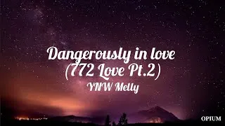 Miniature : ynw melly - dangerously in love (772 love pt.2) (lyrics)
