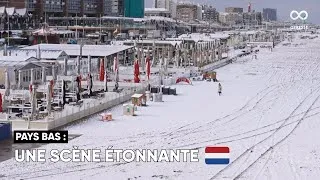 Miniature : De fortes chutes de neige ont recouvert la ville de La Haye