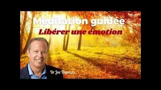 Miniature : 🧘‍♂️ Méditation Guidée ~ Libérer une Émotion ~ Dr Joe Dispenza en Français