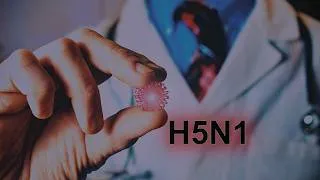 Miniature : Avian Flu H5N1 101 - What is Avian Flu?