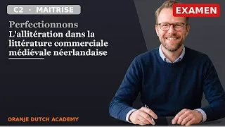 Miniature : EXAMEN: 🇳🇱 Allitérations Néerlandaises Médiévales | 101 Phrases C2