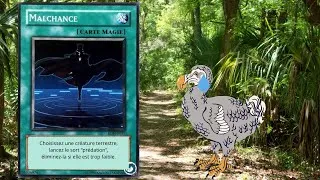 Miniature : Une extinction programmée ?! #1 LE DODO