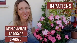 Miniature : Entretenir l’impatiens en pot : emplacement, arrosage et engrais
