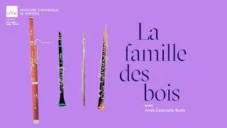 Miniature : La famille des bois