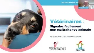 Miniature : Signalez facilement une maltraitance animale