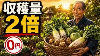 Miniature : 老農家が1ドルも使わずに収穫量を倍増させた方法