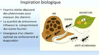 Miniature : Colonie de fourmis ACO