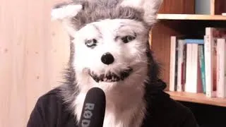 Miniature : SMCPP : Quels sont les comportements humains que les chiens n’aiment pas ? Partie 2