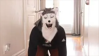 Miniature : SMCPP : Ton chien te vole sans cesse tes souliers ? Partie 2