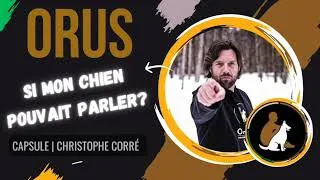 Miniature : SMCPP : Ton chien te vole sans cesse tes souliers ? partie 1