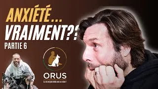 Miniature : TON CHIEN EST-IL ANXIEUX ? - Partie 6