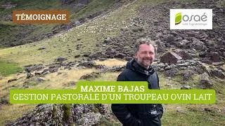 Miniature : Ferme de l'Aouda : Gestion pastorale d'un troupeau ovin lait
