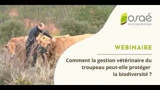 Miniature : Webinaire - Comment la gestion vétérinaire du troupeau peut-elle protéger la biodiversité ?