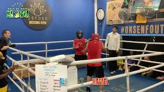 Miniature : 8 Ali x Rafael