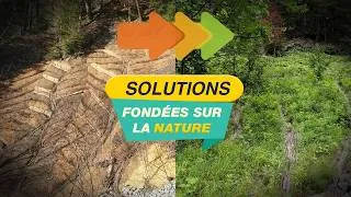 Miniature : Territoires de montagne : quand la nature devient solution (VIVALP)