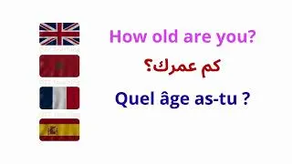 Miniature : Master 4 Languages at Once: +10 Essential Daily Expressions in English, French, Arabic & Spanish!