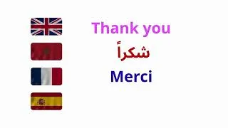 Miniature : Multilingual Journey 🌍 Learn Arabic, English, French, and Spanish in One Go ! تعلم 3 لغات دفعة واحدة
