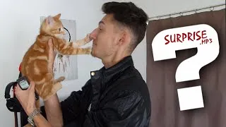 Miniature : J'AI FAIS 3 SON. (oui la miniature n'a rien avoir)
